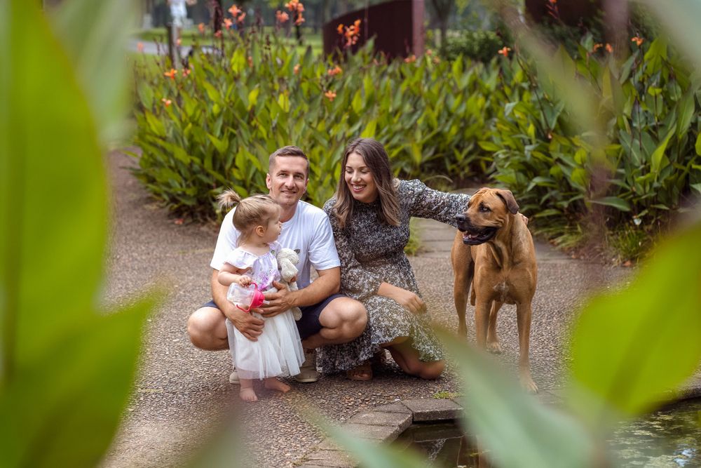 pet friendly family photoshoot in sydney