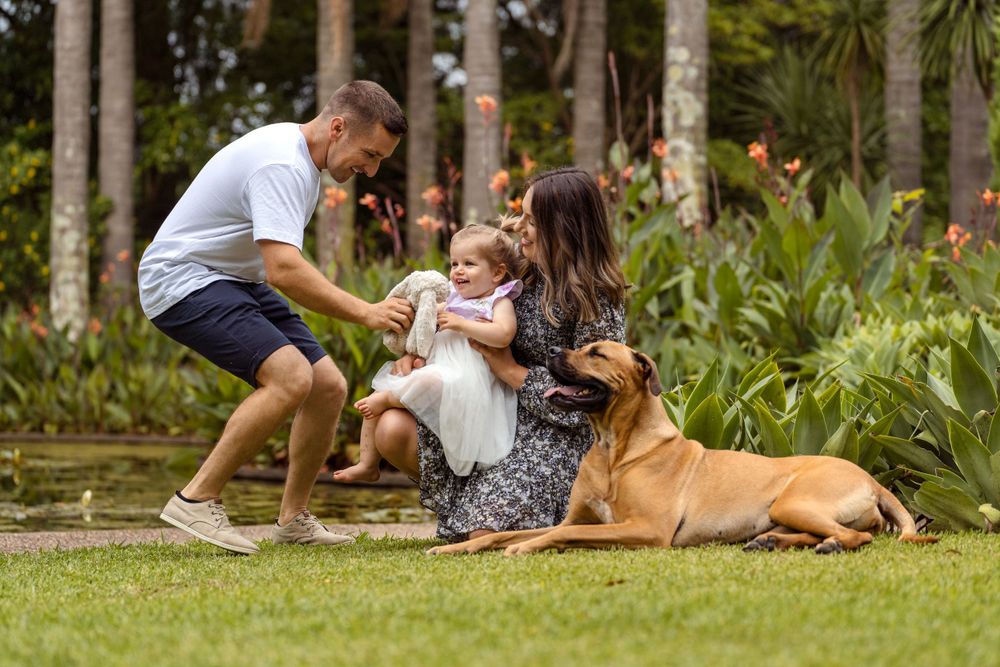 sydney family photoshoot with dogs