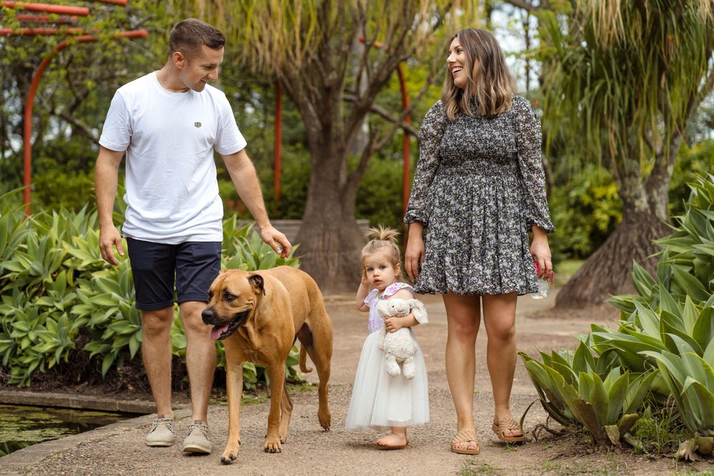 dogs and family photoshoot in sydney