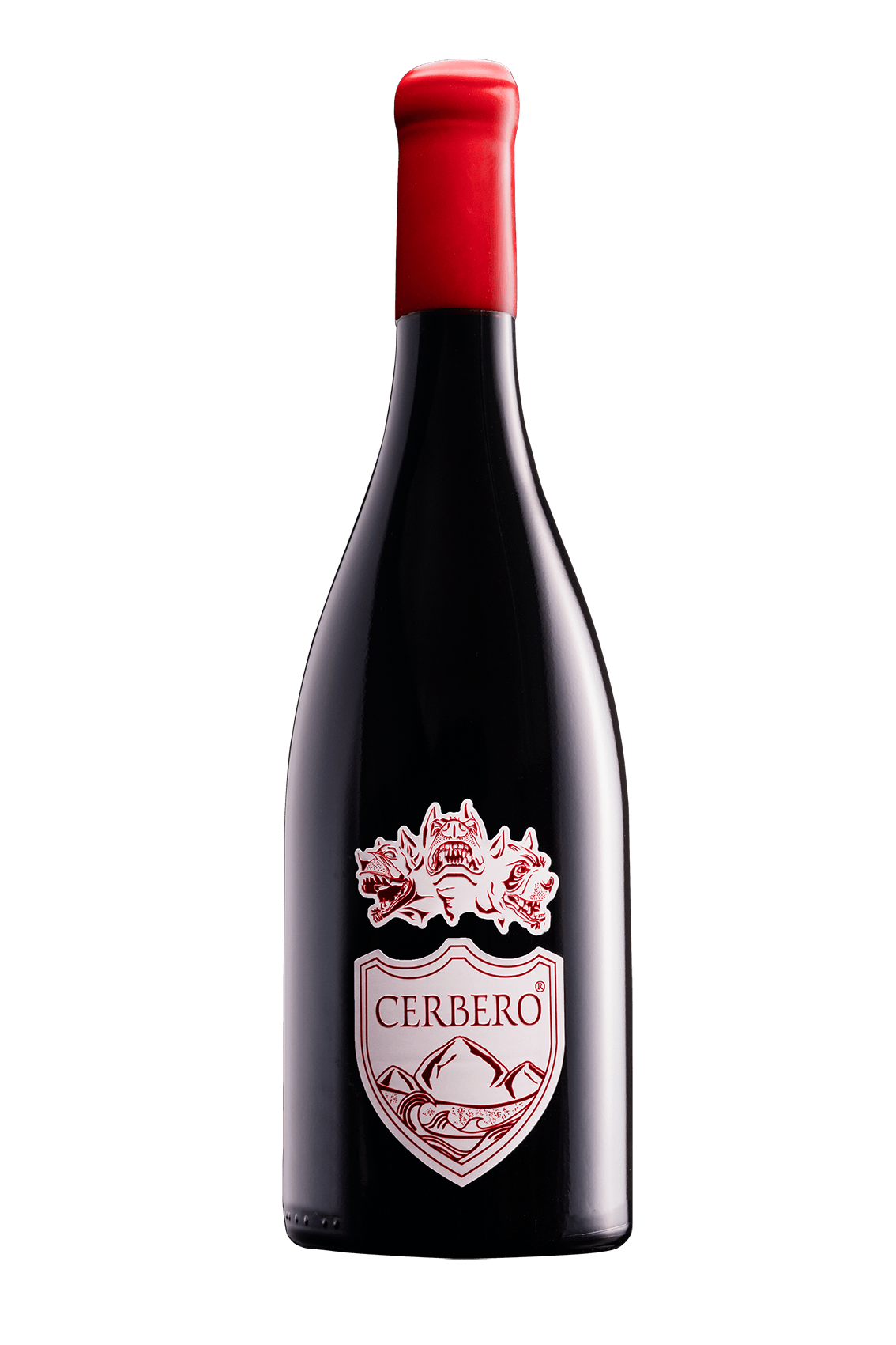 Still life bottiglia Cantina Cerbero Montepulciano
