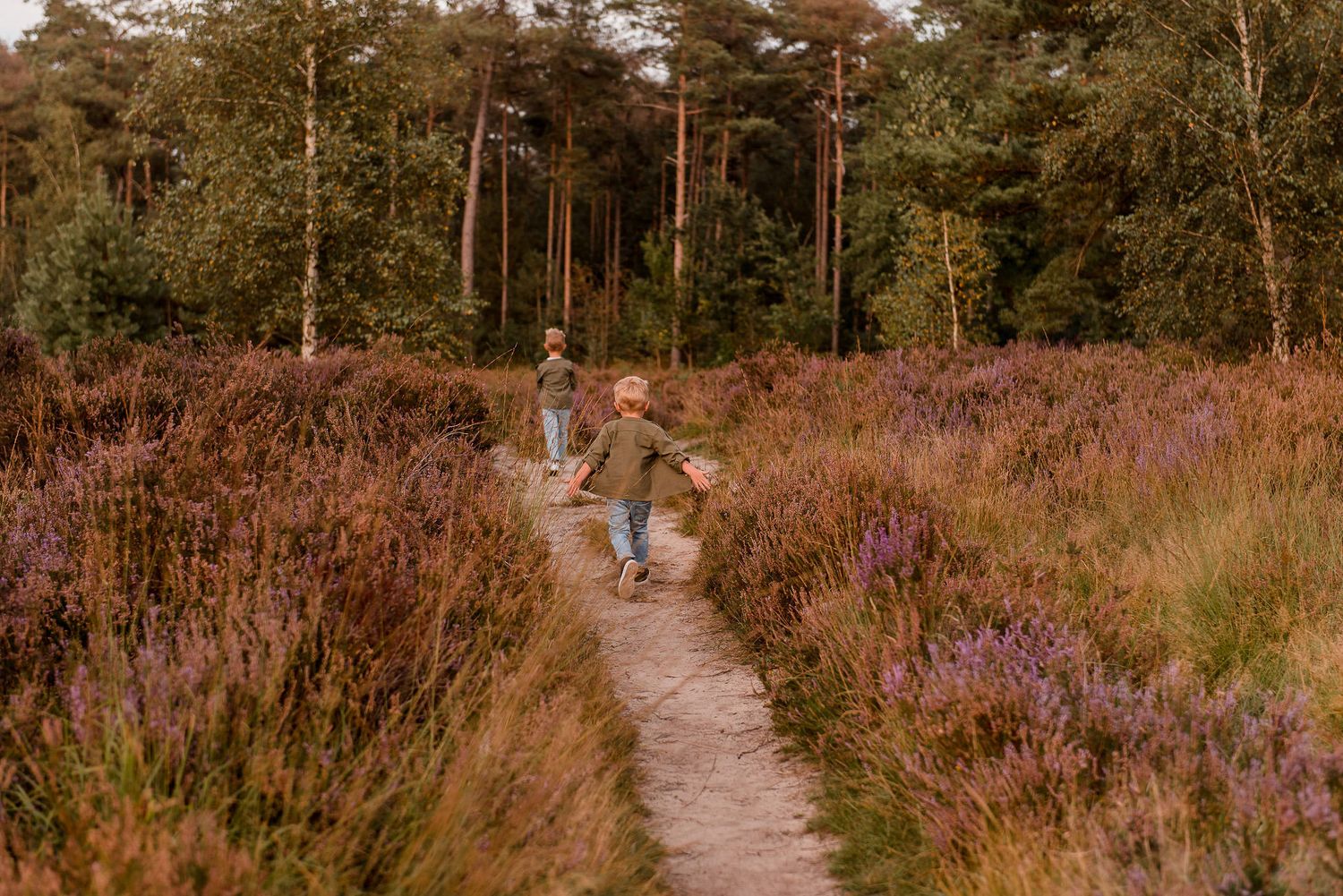 broertjes, gezinsfoto, heide