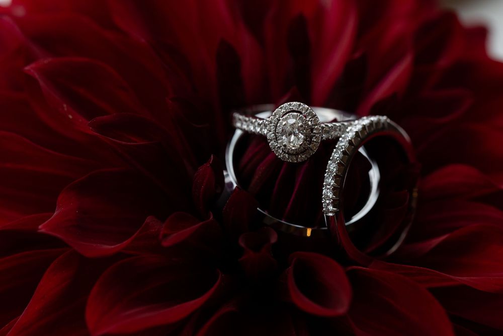 Diamond engagement ring and wedding bands nestled in deep red dahlia petals.