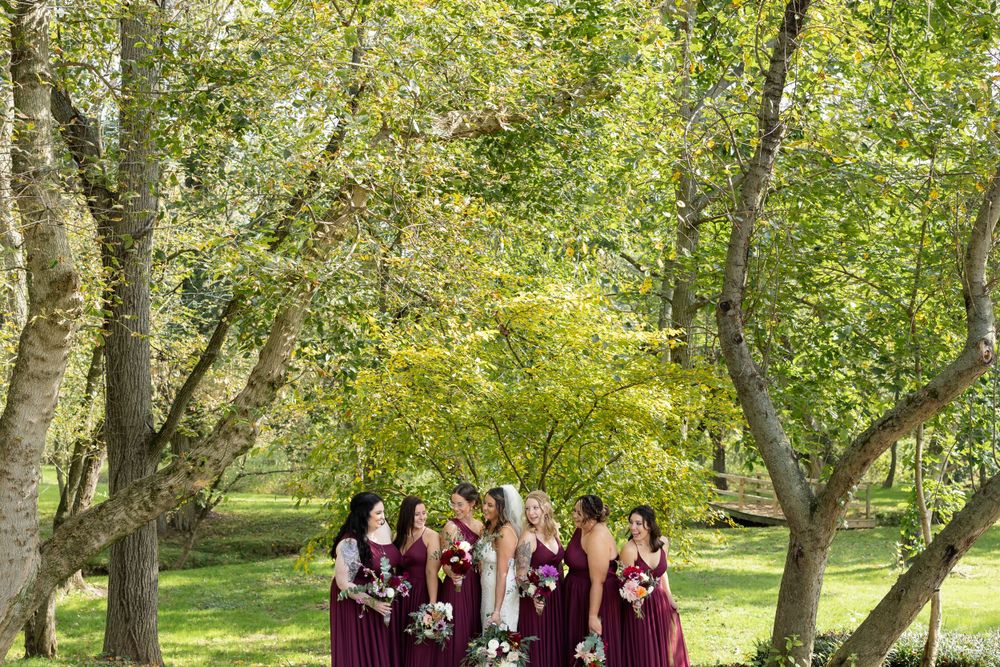 Wedding party in deep purple dresses photographed in sunlit wooded area.