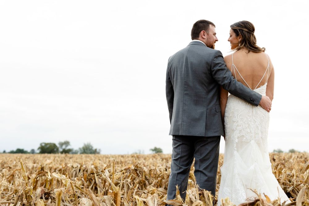 Couple embracing in golden cornfield during their wedding photoshoot.