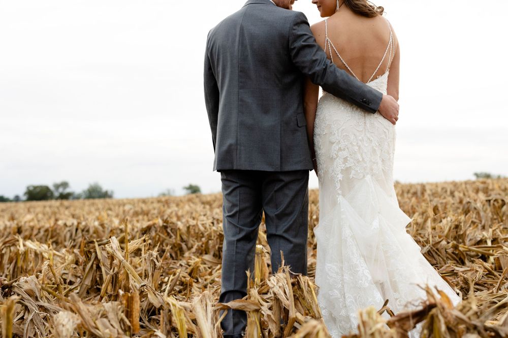 Romantic moment captured in cornfield showing details of lace wedding dress.
