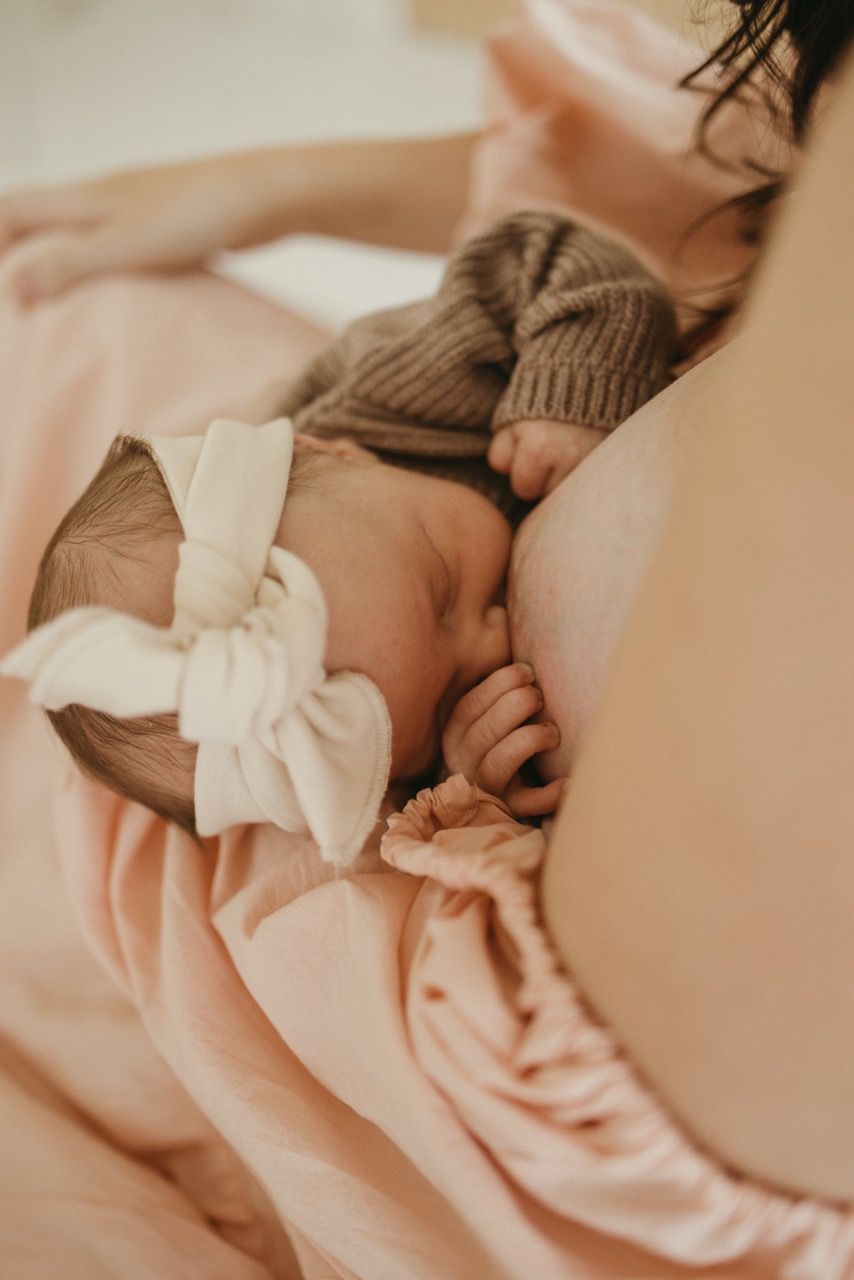 geelong melbourne newborn maternity family couples photographer