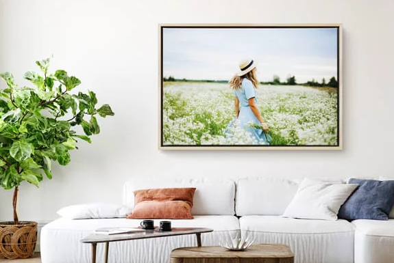 Living room interior with framed artwork above white sofa and decorative houseplant.