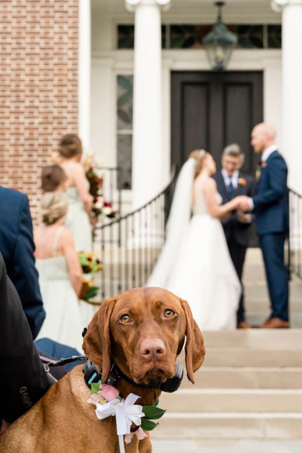 Outdoor Wedding Ceremony Mustard Seed Hill Paris Kentucky