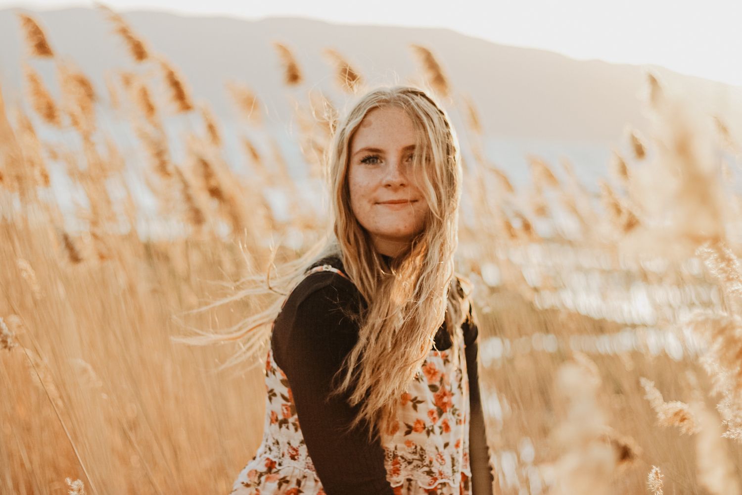 Golden sunlight illuminates tall grass and a dreamy autumn scene.