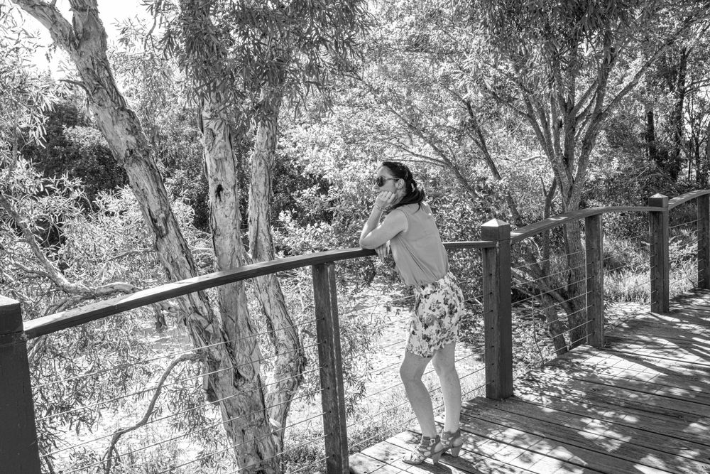 Black and white image of someone leaning on railing of wooden walkway surrounded by trees.