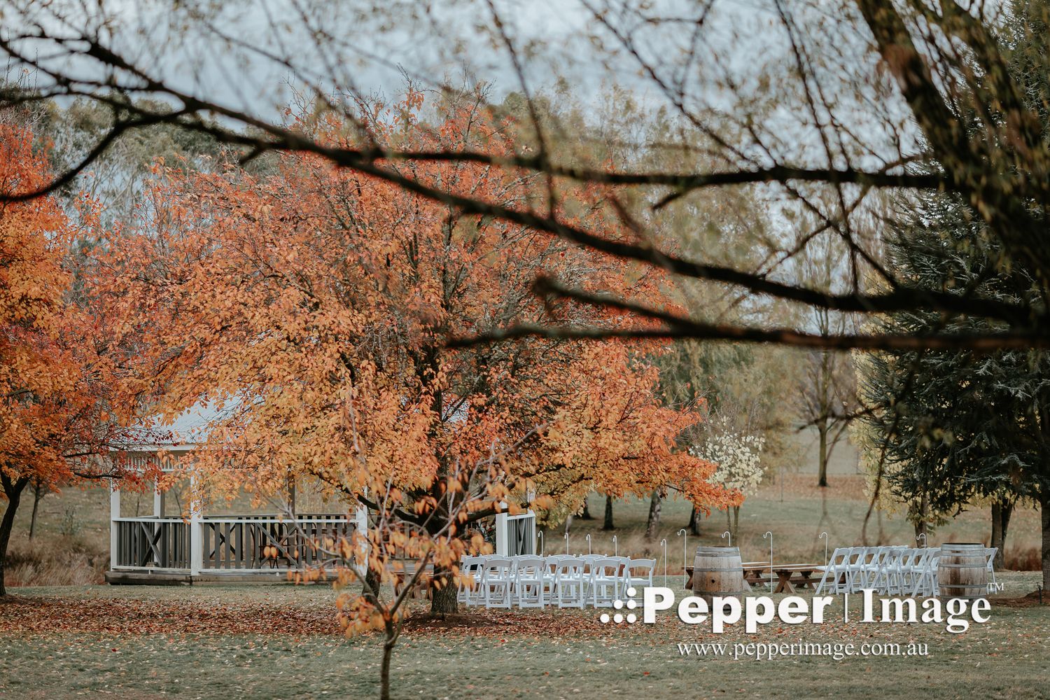 Autumn wedding ceremony setup with white chairs among colorful orange and red foliage trees at an outdoor venue.