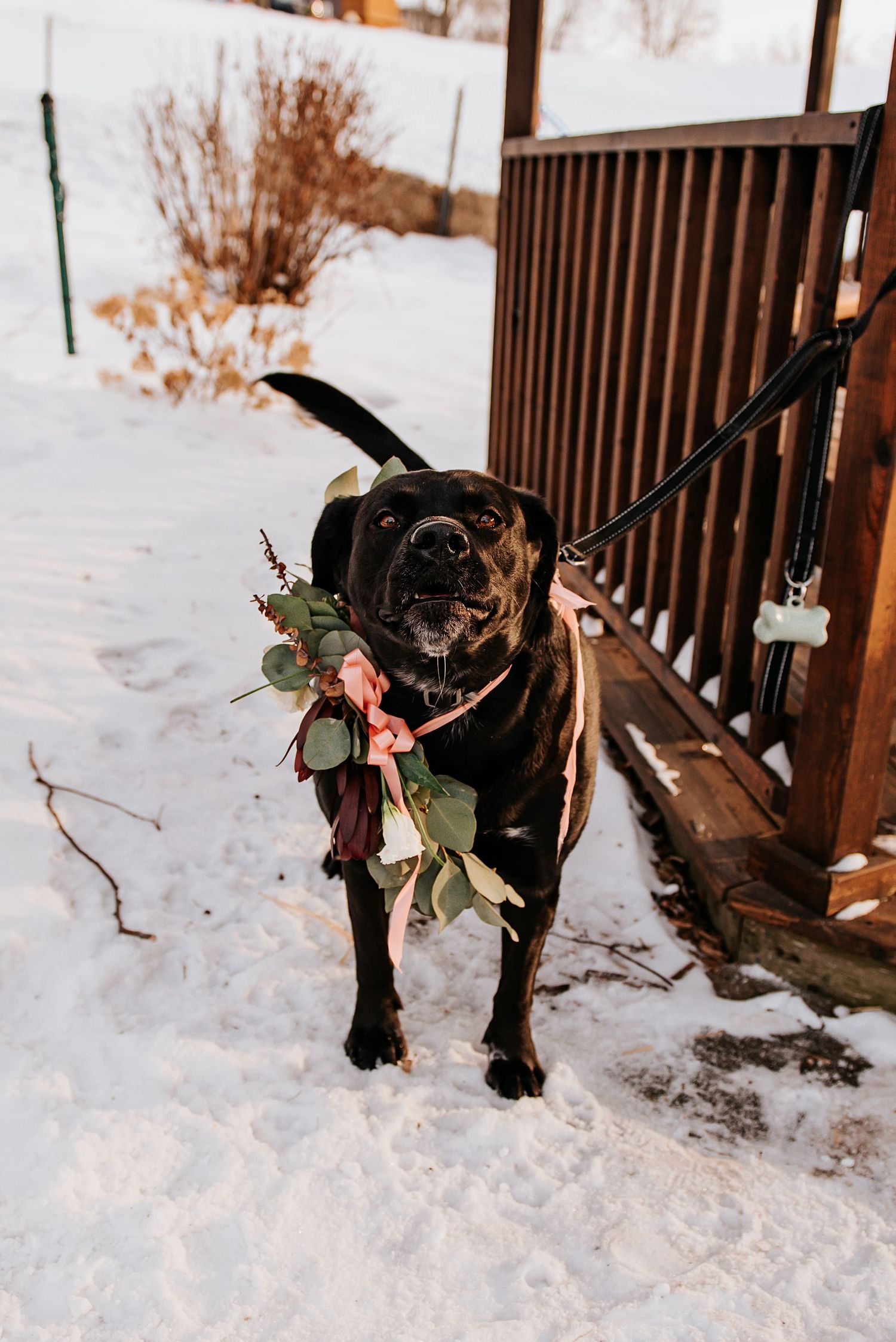 winter wedding