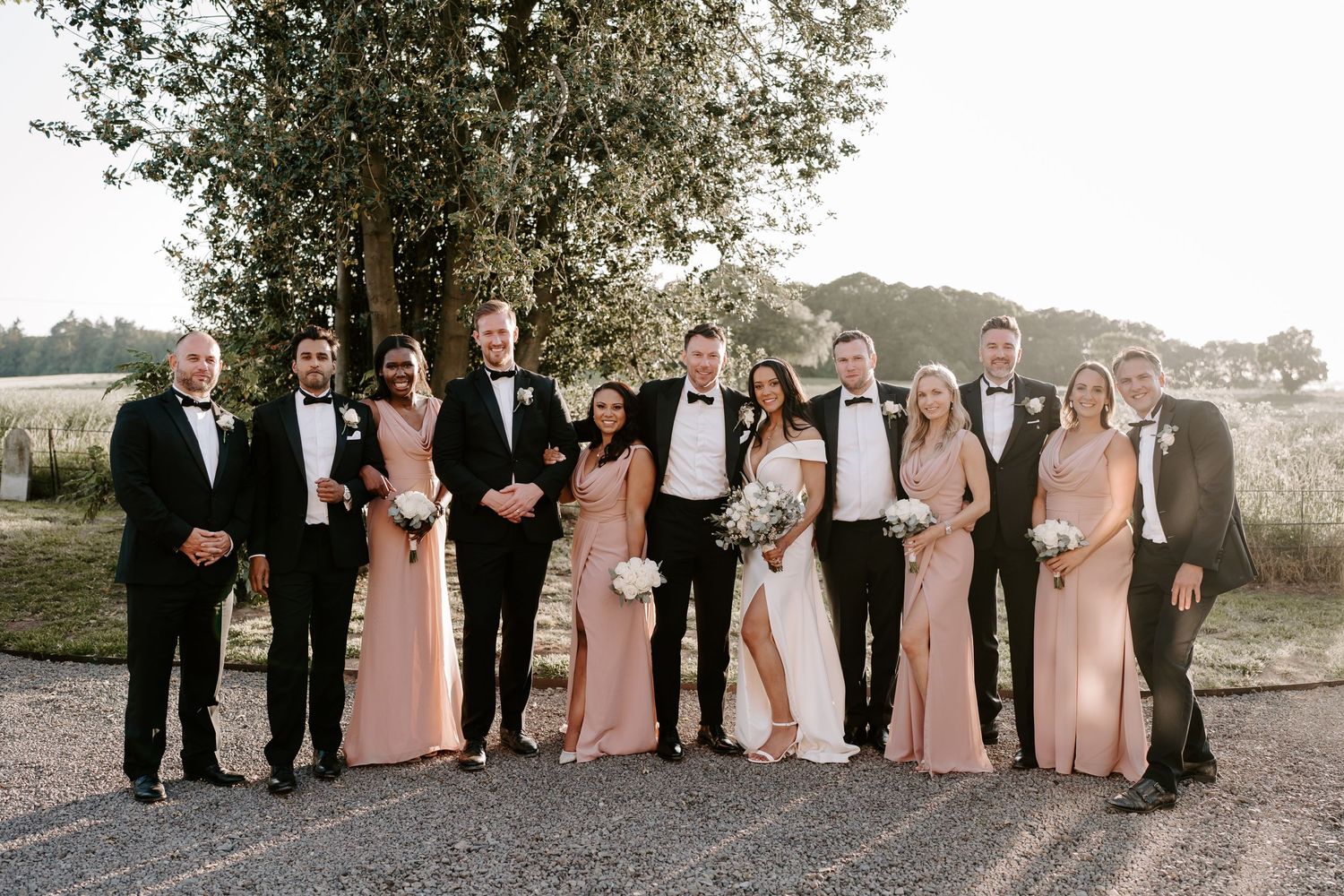 bride-and-groom-bridesmaids-groomsmen-stockton-house-wedding-shropshire