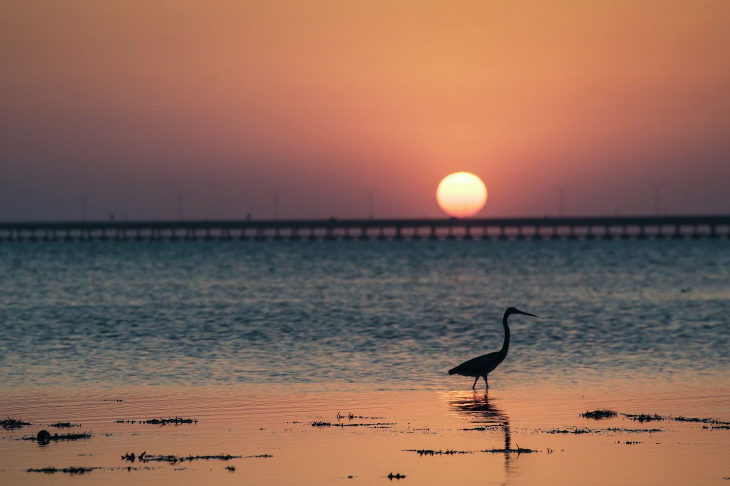 Coastal Sunset