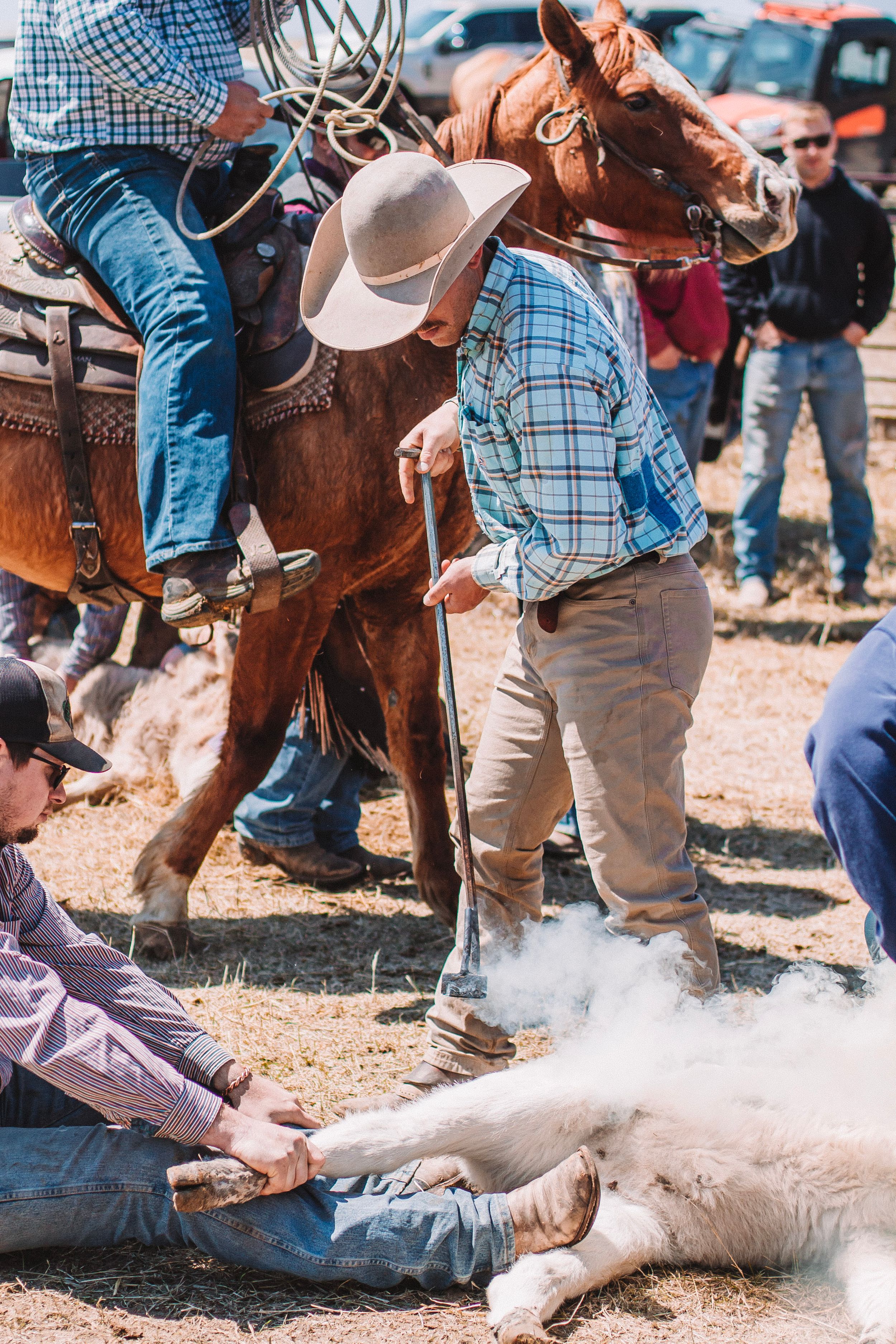 nebraska branding horse calf cowboy smoke rope