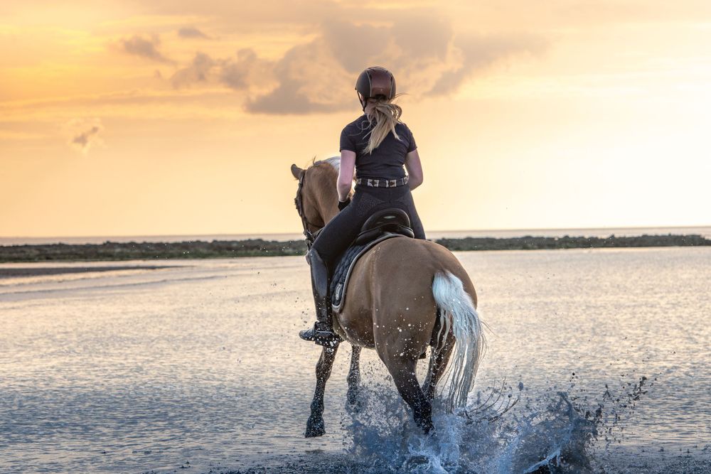 Pony cantering into the sunset in the ocean.