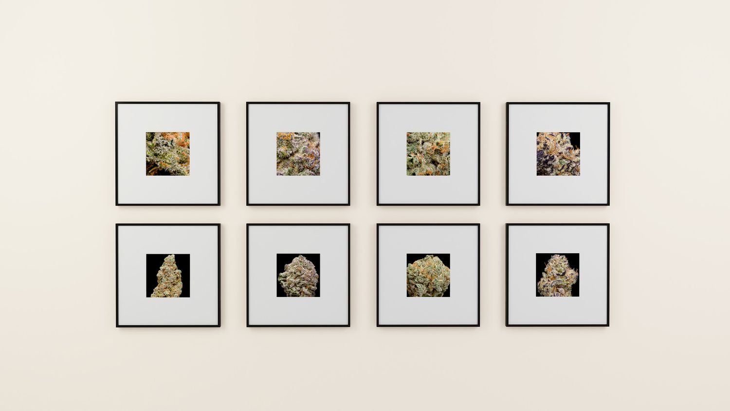 CannaPrints.ca - Framed Cannabis Prints for Modern Living Spaces. Vibrant Accent Pieces