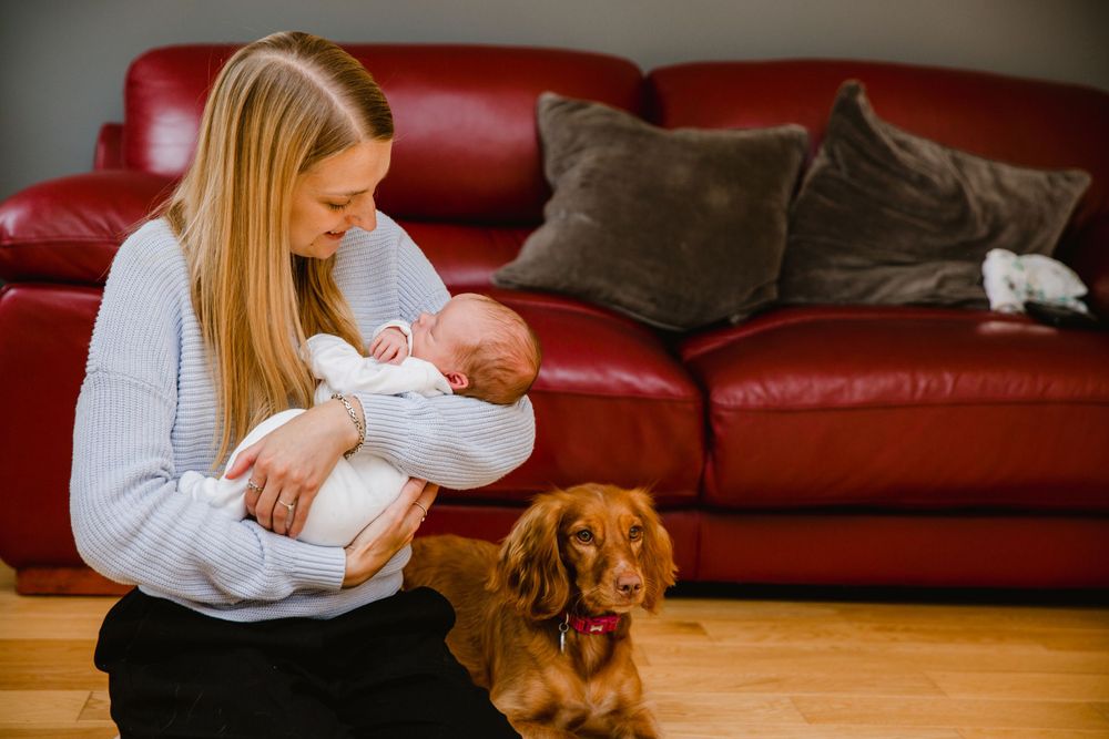 at home newborn photo shoot