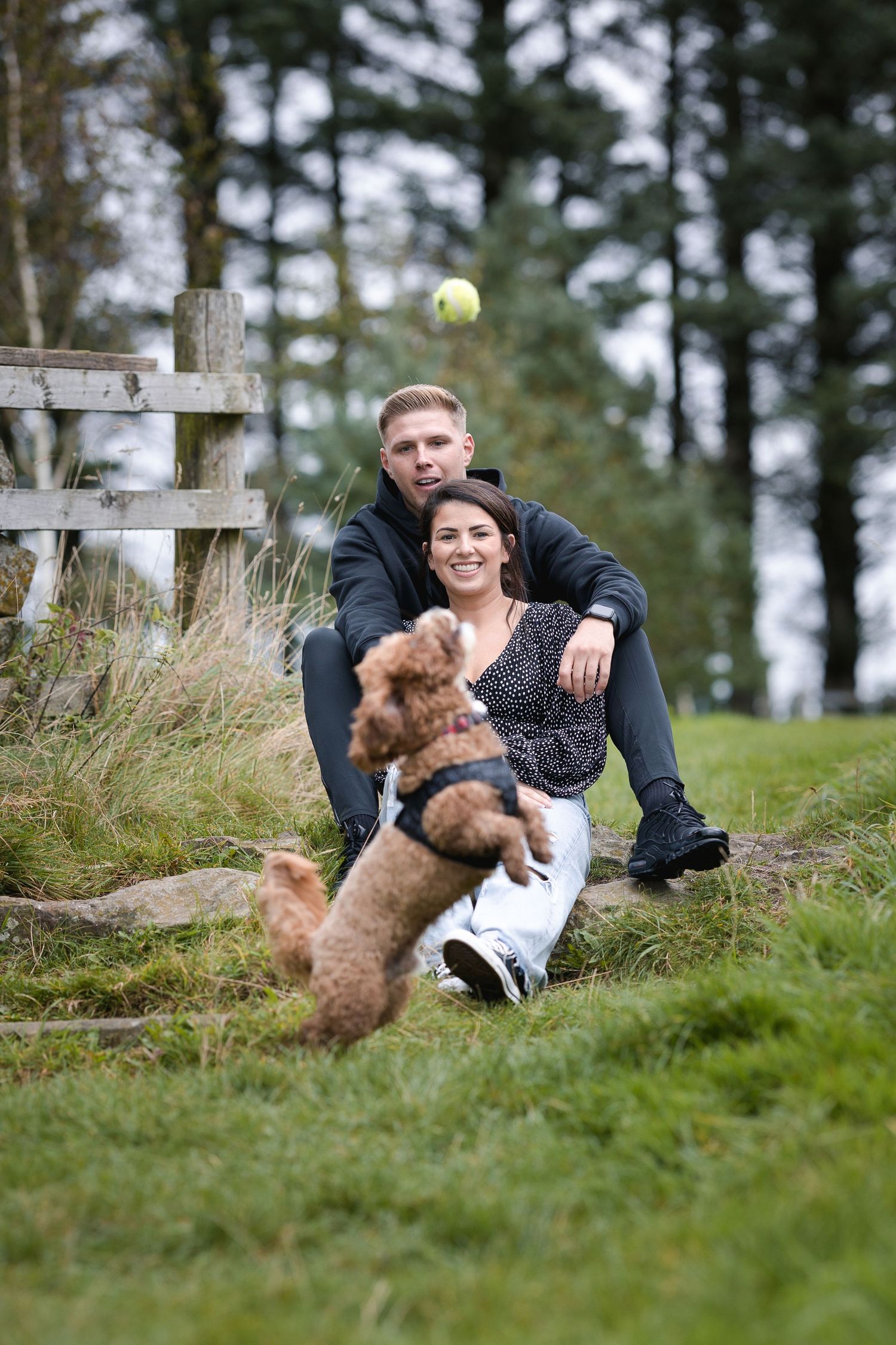 A couple relaxes by a wooden fence while their dog plays fetch with a tennis ball.