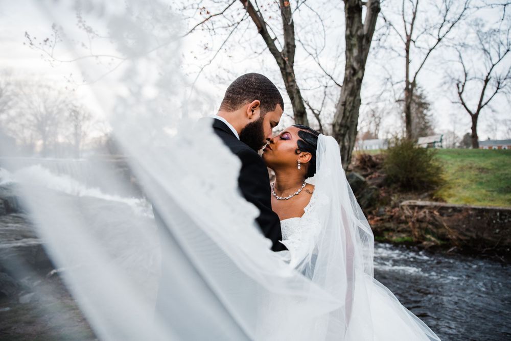 wedding veil bride and groom