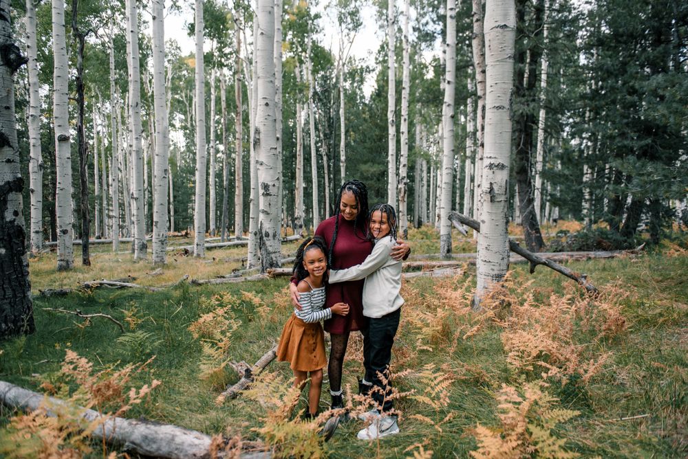 Majestic aspen grove with golden ferns creating a magical forest setting.