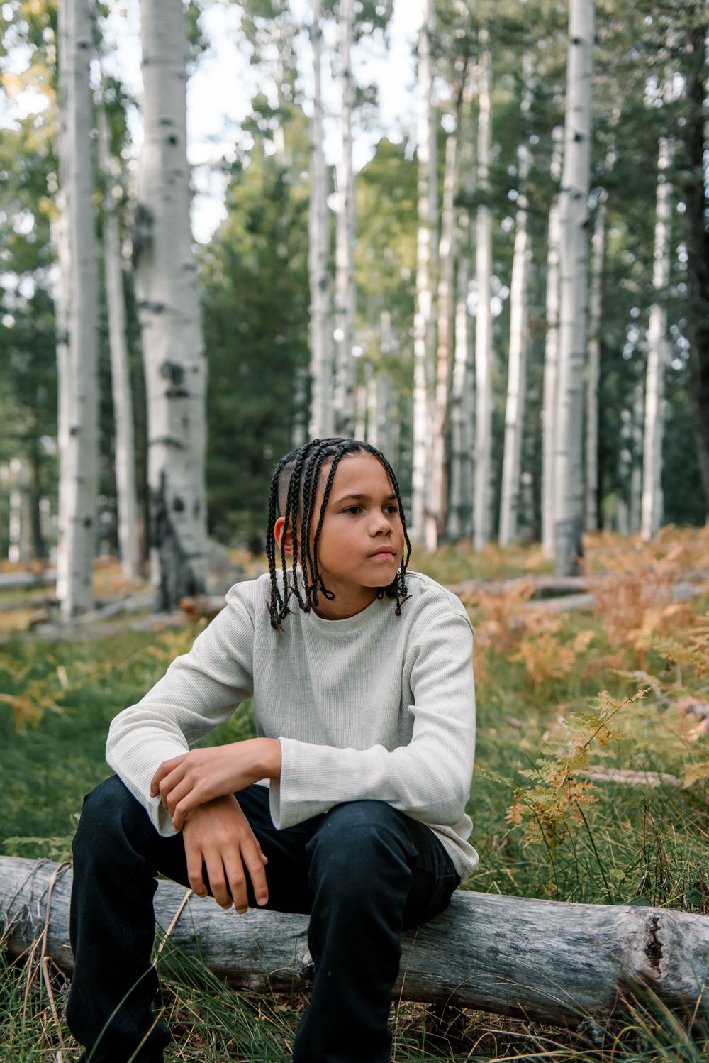 Person in gray sweater relaxing on fallen log surrounded by white aspen trees in forest setting.