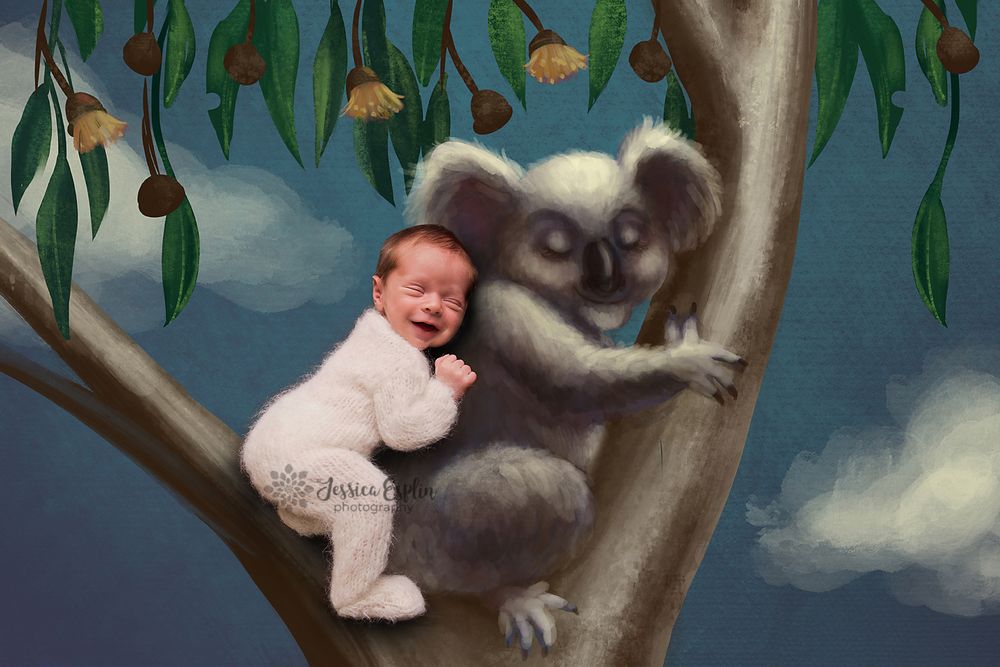 koala happy baby art photo utah valley