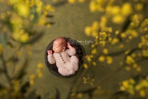 spring blossom simple art photography lindon utah