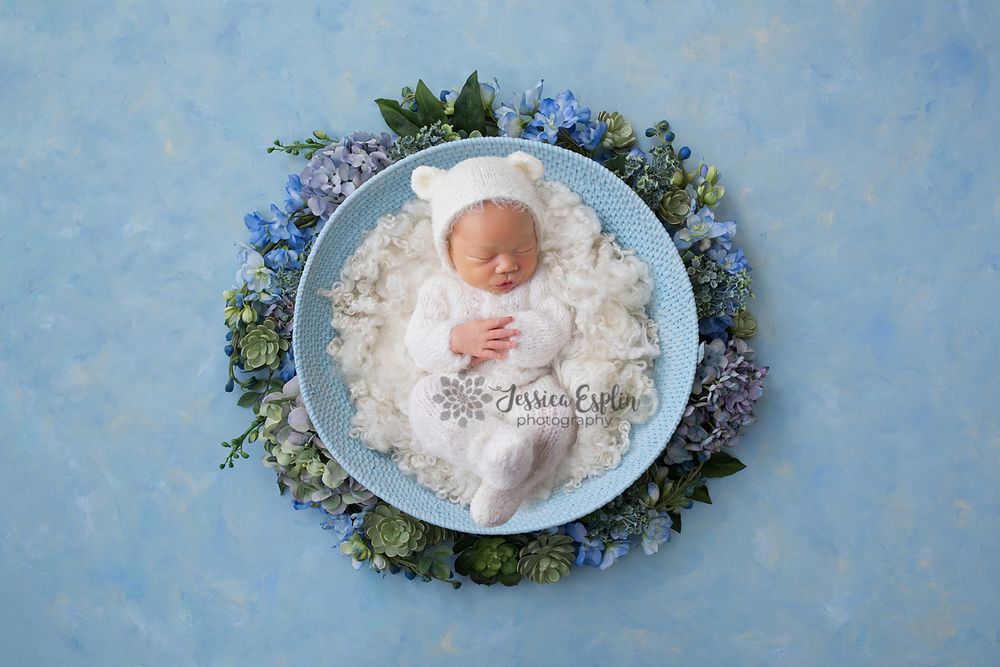 little baby bear newborn photo floral succulents blue american fork utah