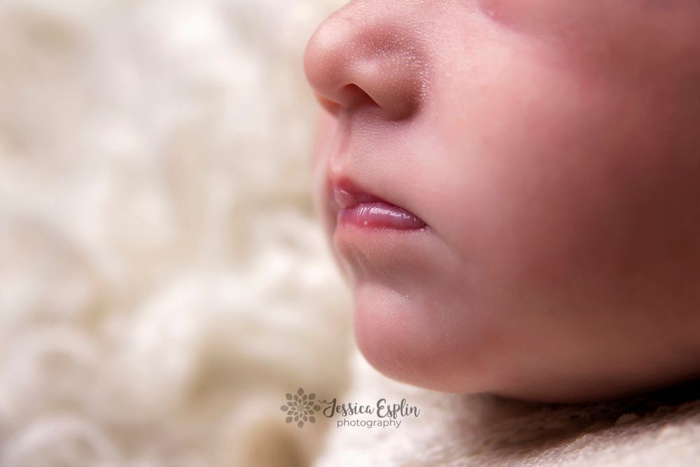 macro detail photographer simple pics mapleton utah