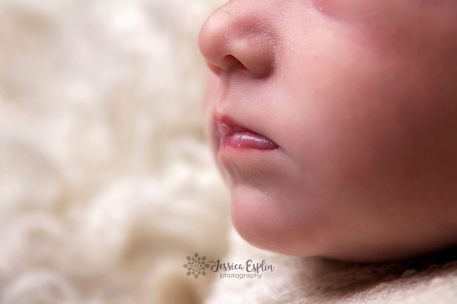 macro detail photographer simple pics mapleton utah