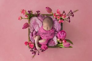 baby in a flower box tulips pink photography utah county