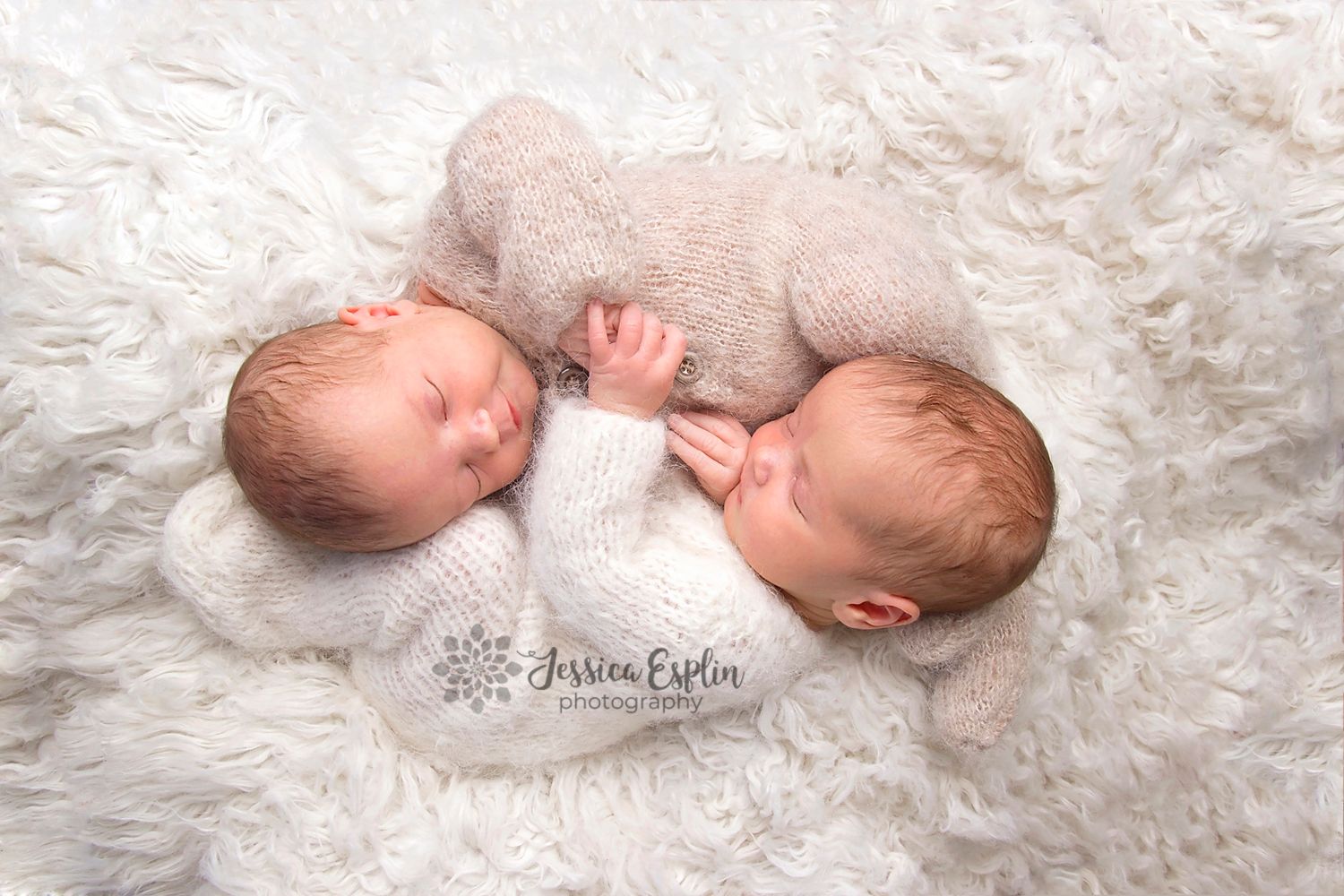 twin girls simple white neutral newborn photos provo utah
