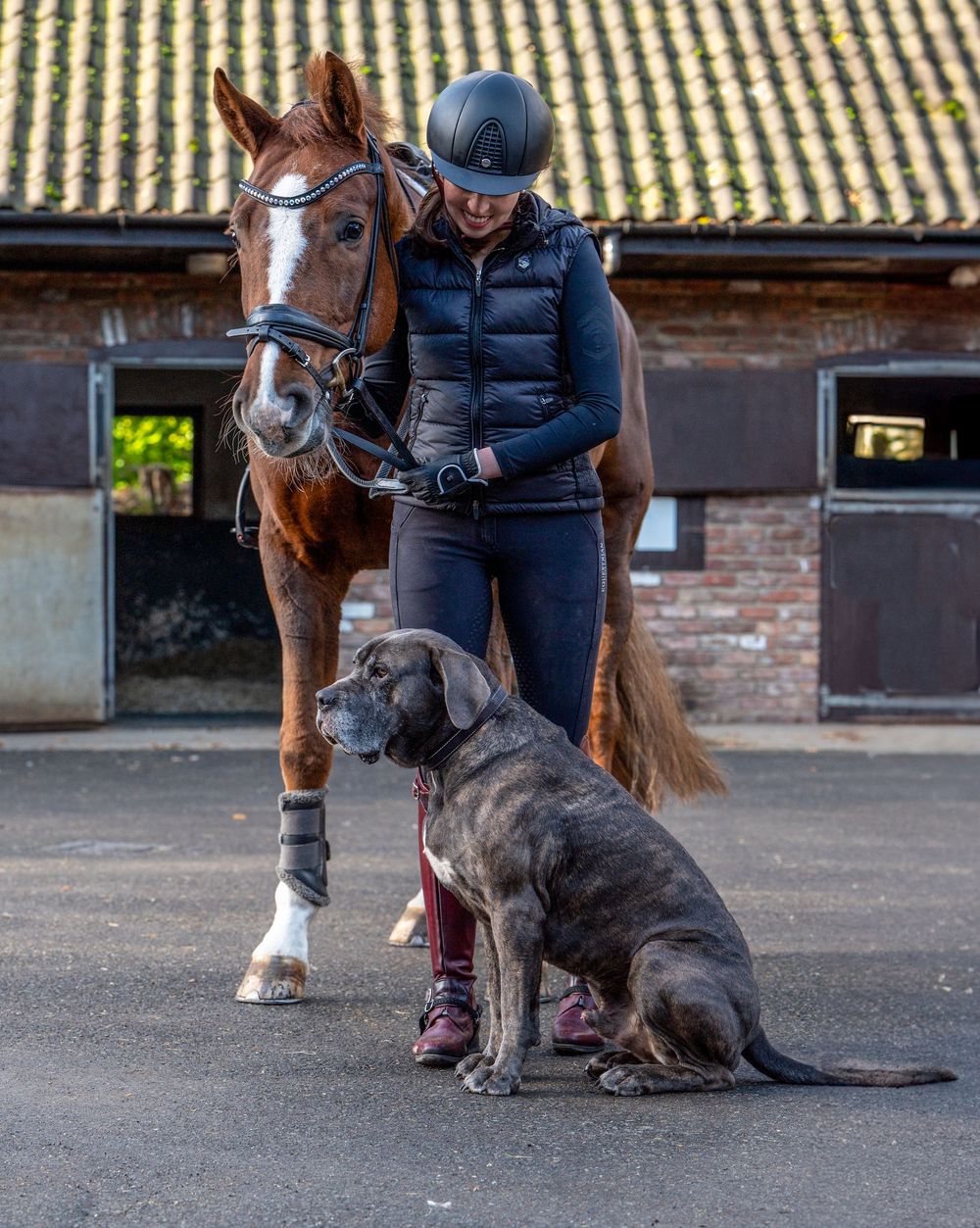 A loyal dog sits beside a rider standing with her horse—a peaceful moment that captures the special bond between animals and their humans.