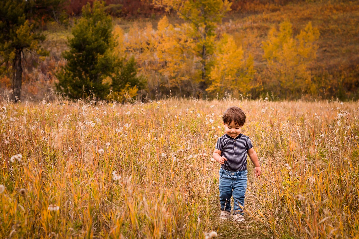 Fall family photos in Fish Creek Park, Calgary Alberta by Love & Sunshine Photography