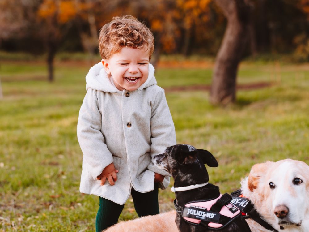 Children playing with dogs on a blanket during an autumn photoshoot outdoors.
