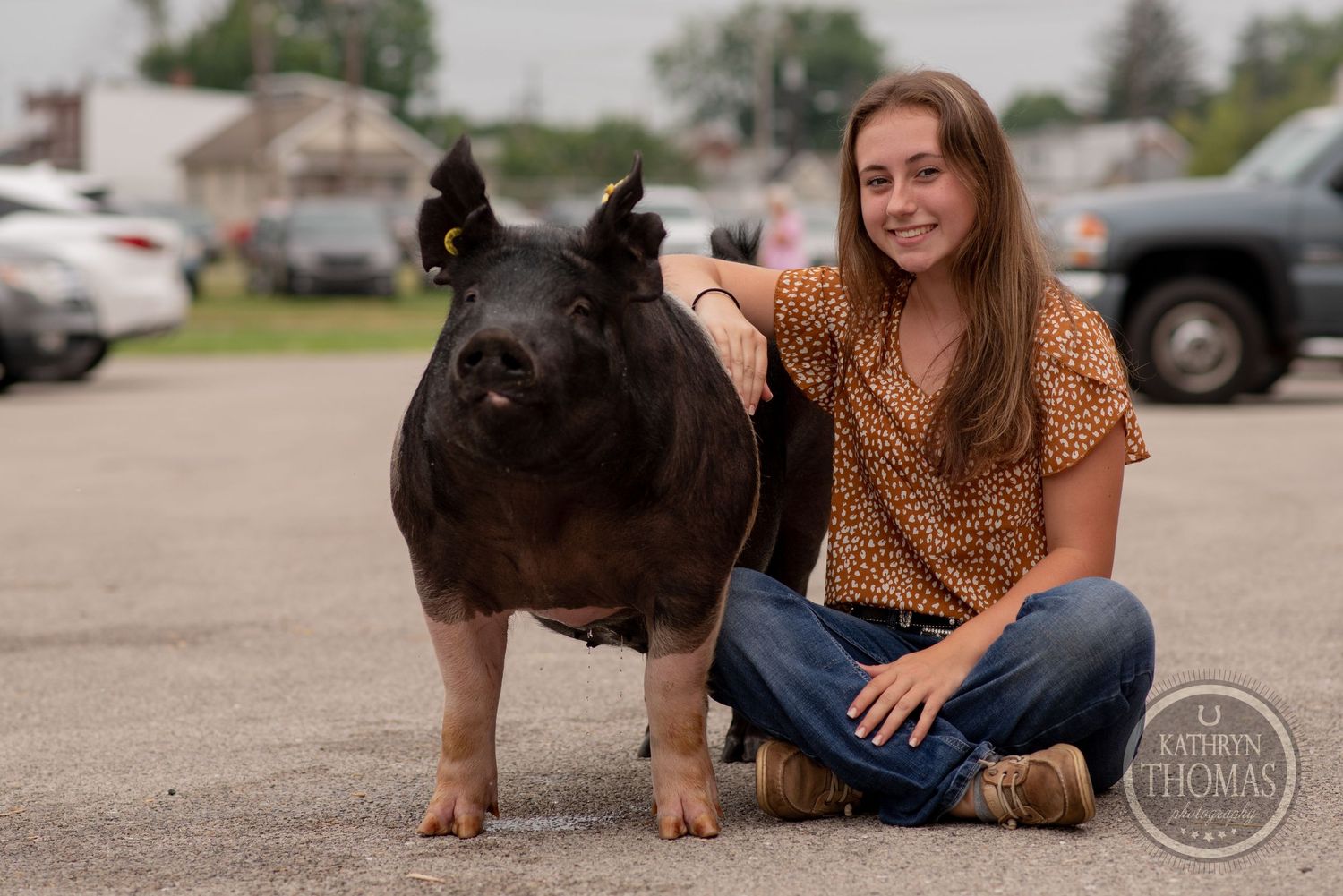 Large black and pink show pig stands in outdoor parking lot setting.