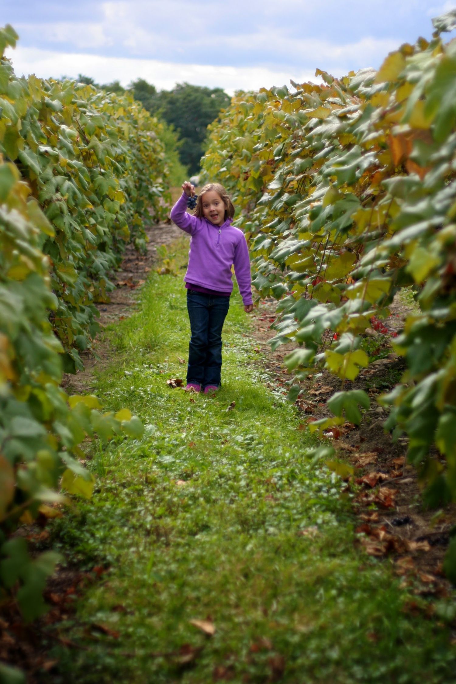 Keuka Lake New York Children portraits
