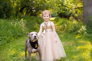 Young child in a tulle dress standing with a grey pitbull dog wearing a yellow ribbon in a garden setting.