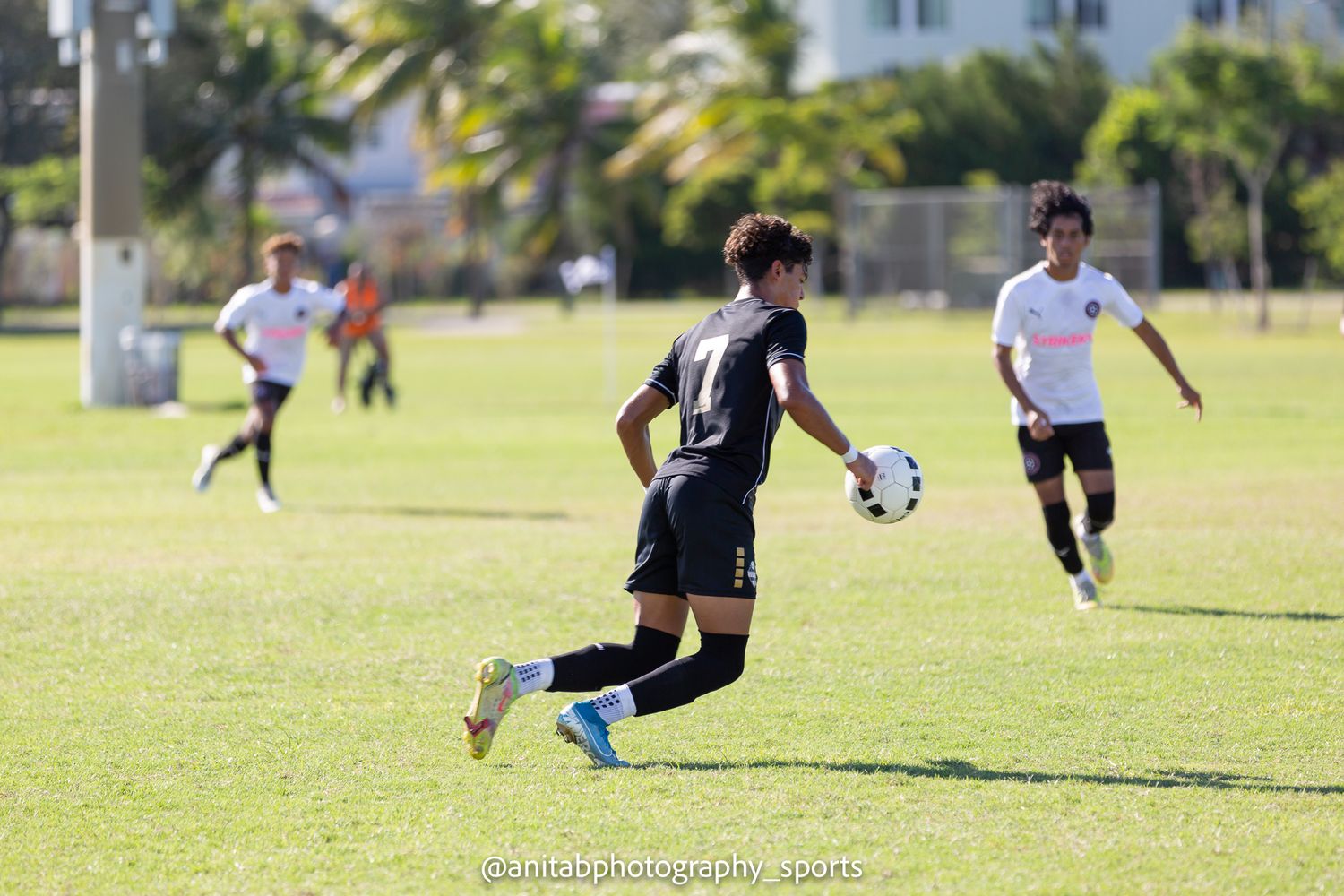 Soccer players running and kicking ball on sunny grass field.
Sports photography.