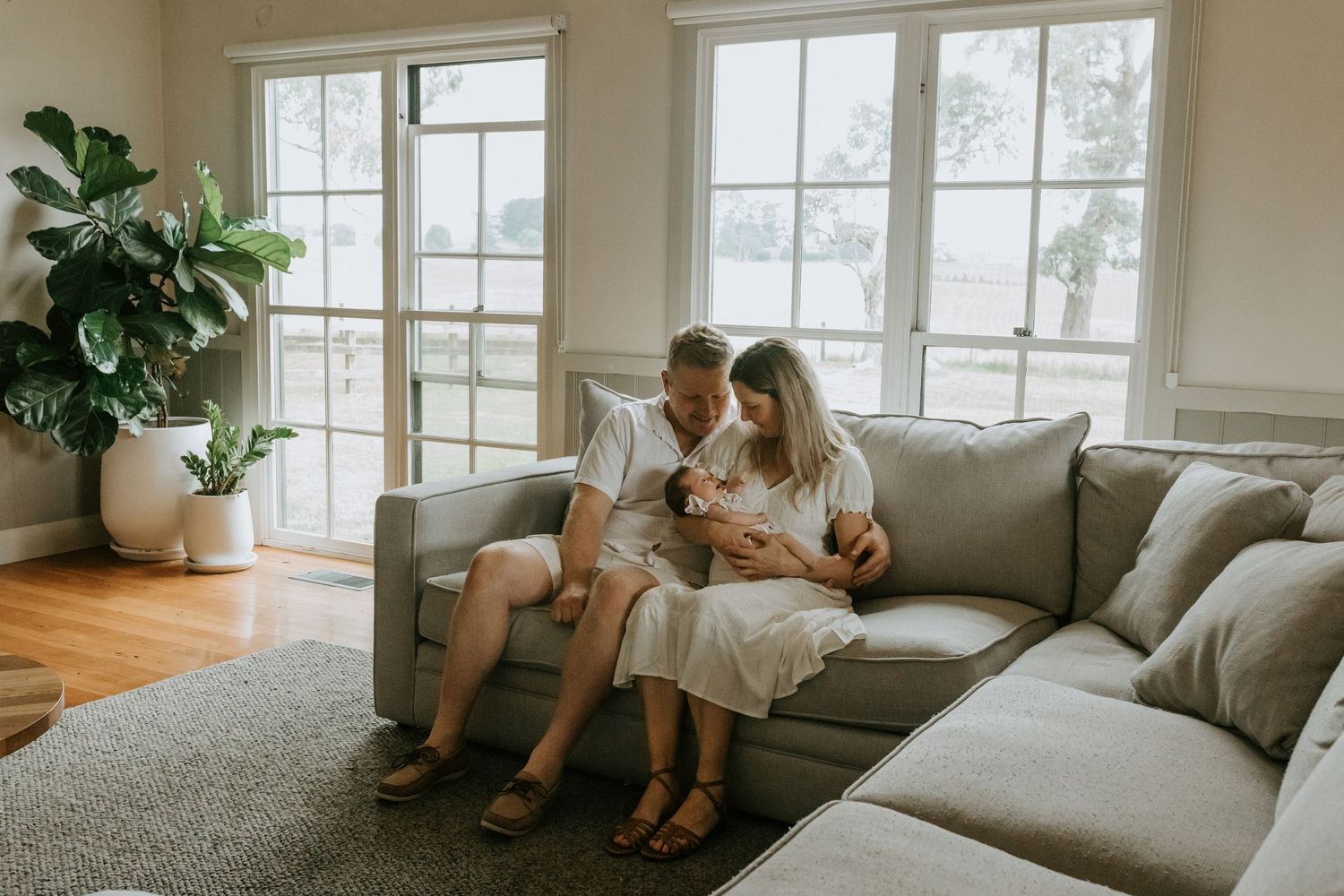 Bright modern living room with large windows, houseplants, and gray sectional sofa.