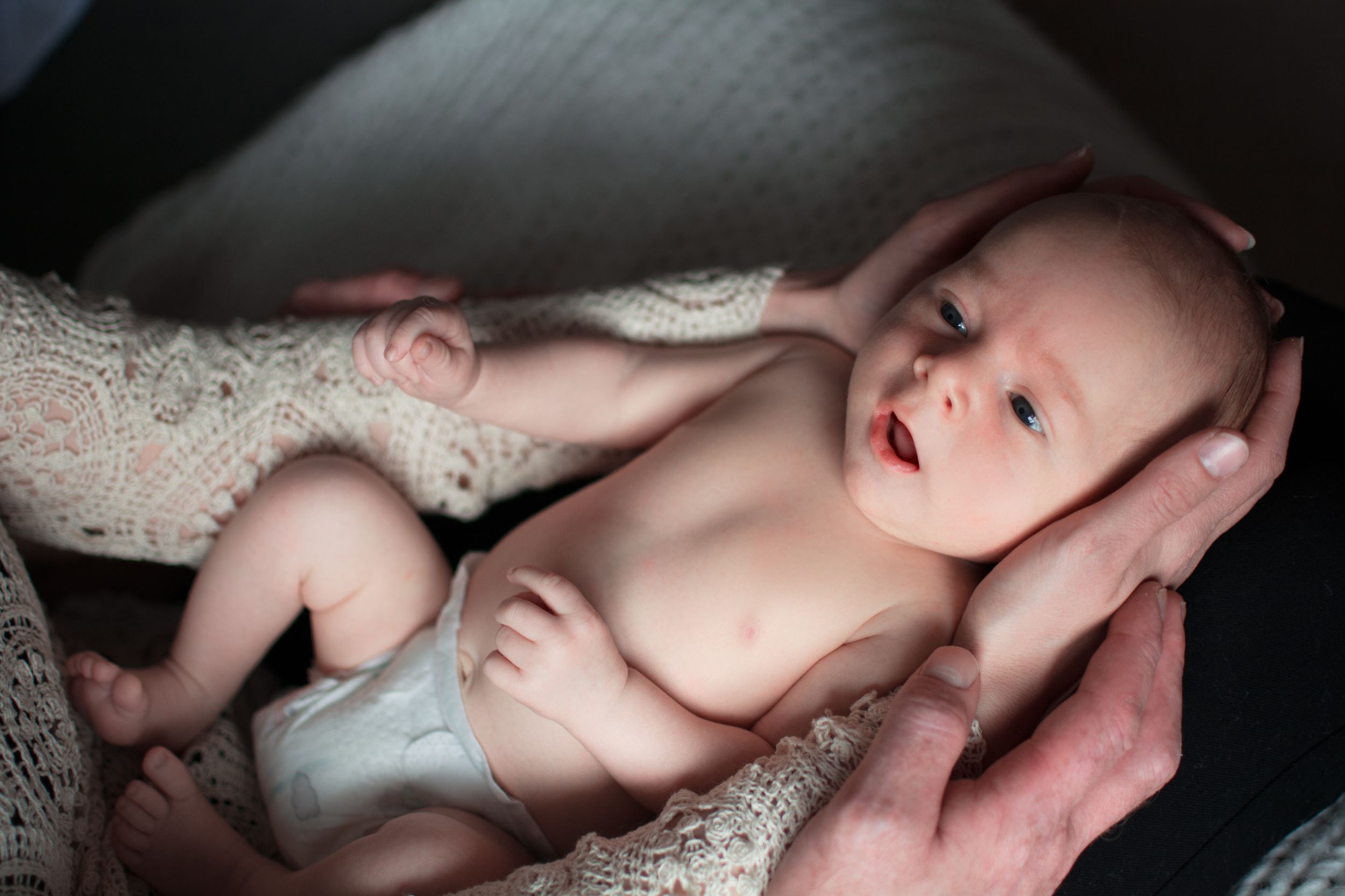newborn lifestyle photography pure pixx manawatu tararua