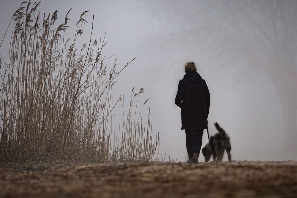 Hond en baasje