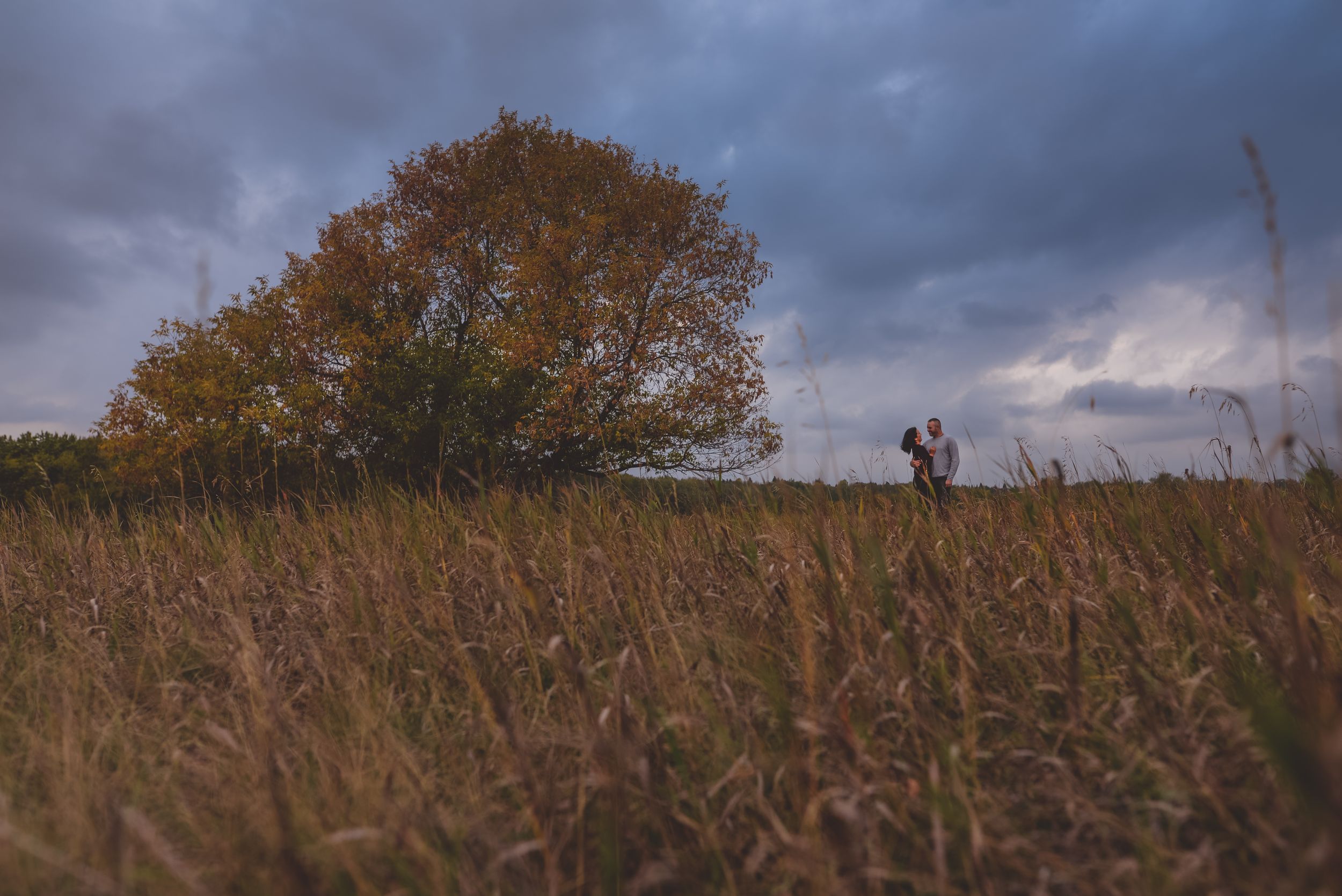 Couple standing near a vibrant autumn tree in an open field under dramatic cloudy skies.