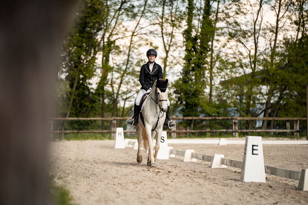 Concours dressage Alsace suivi photo