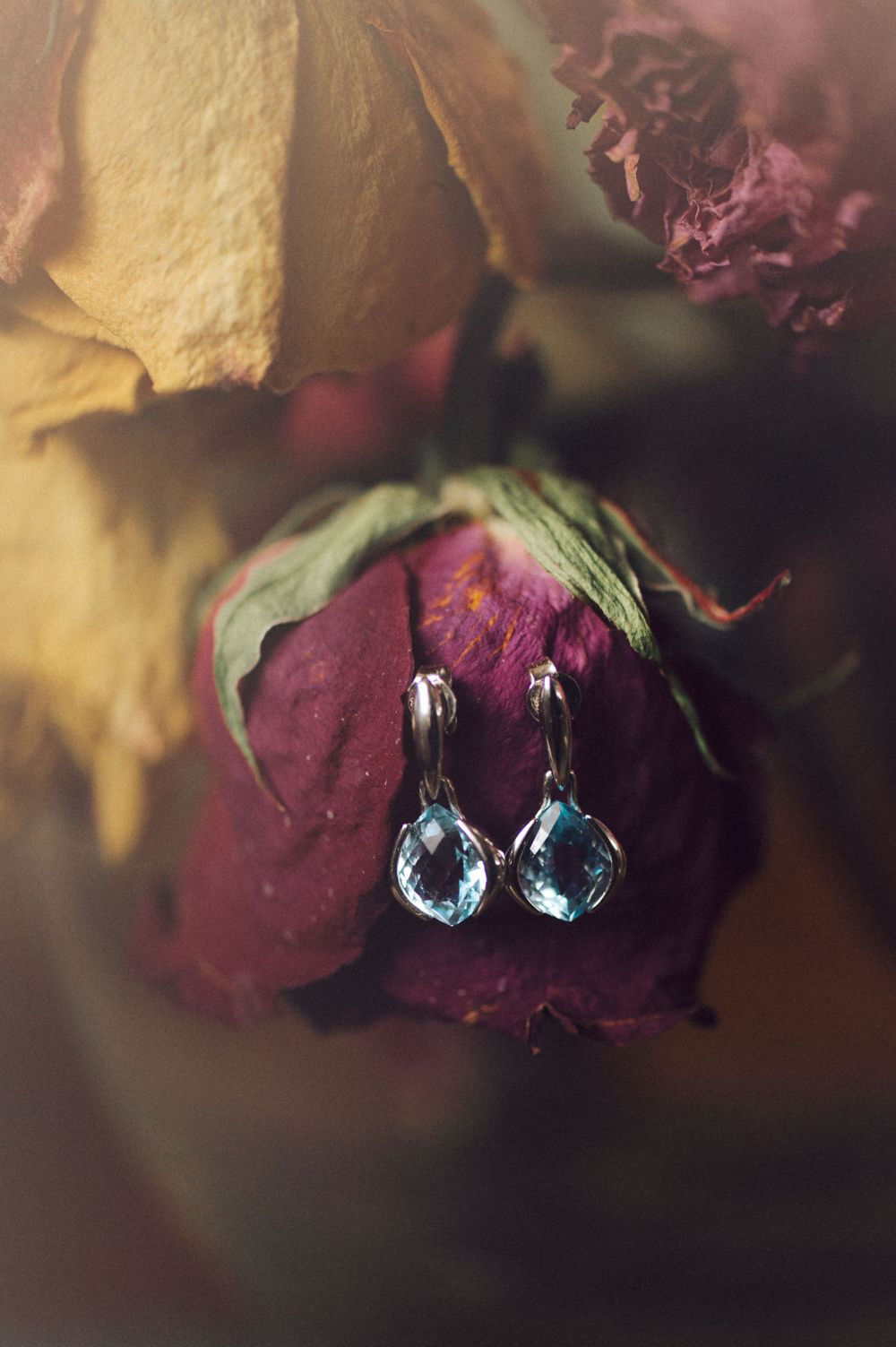 Crystal teardrop earrings hanging in front of dried roses with soft focus background.