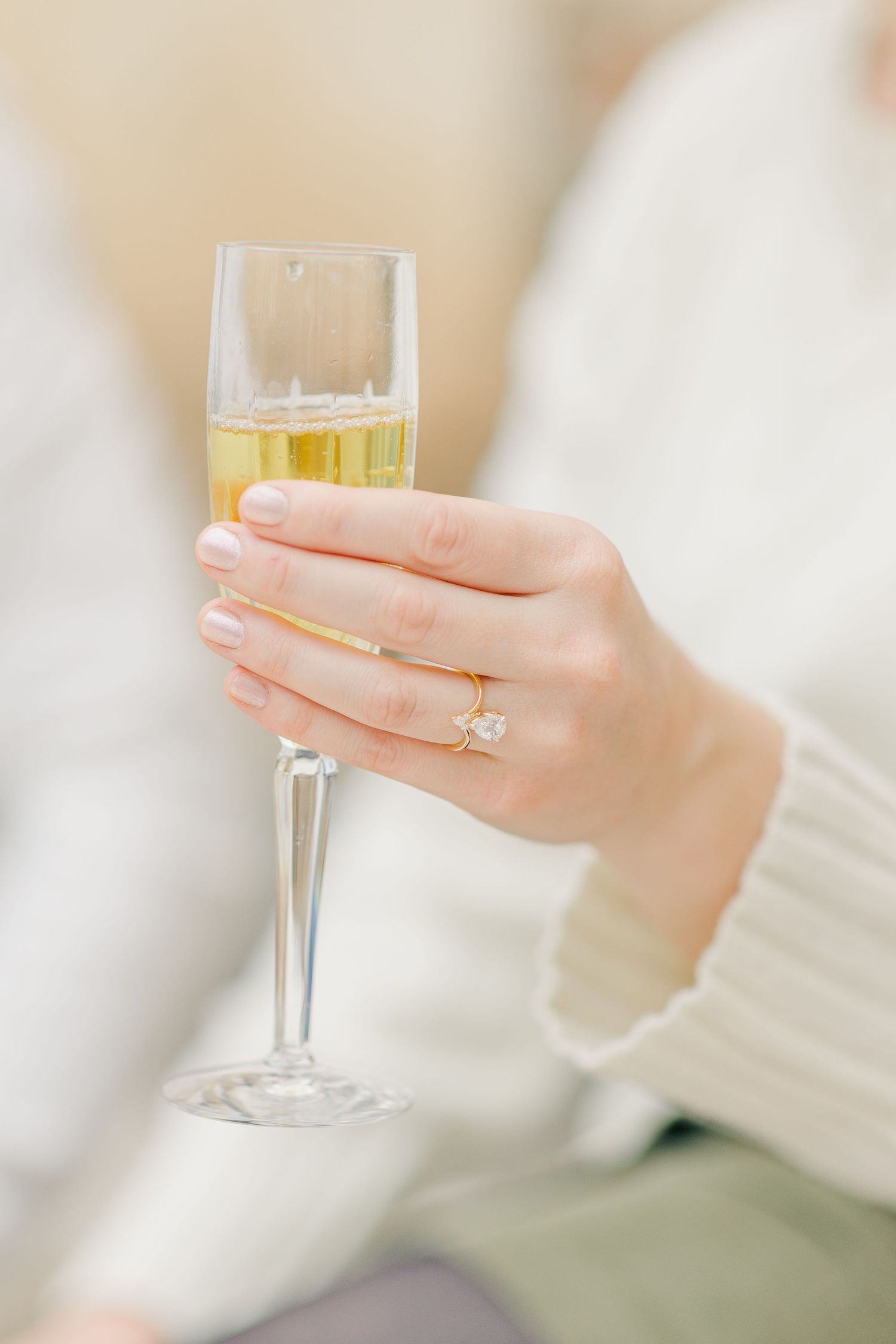 OATLANDS HISTORIC HOUSE LEESBURG VIRGINIA ENGAGEMENT PICTURES