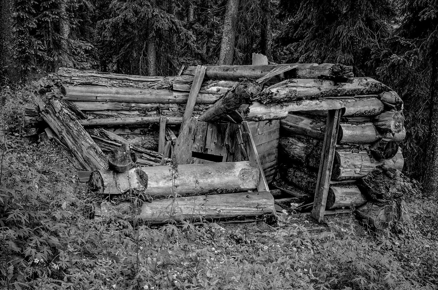 Beartown, Colorado