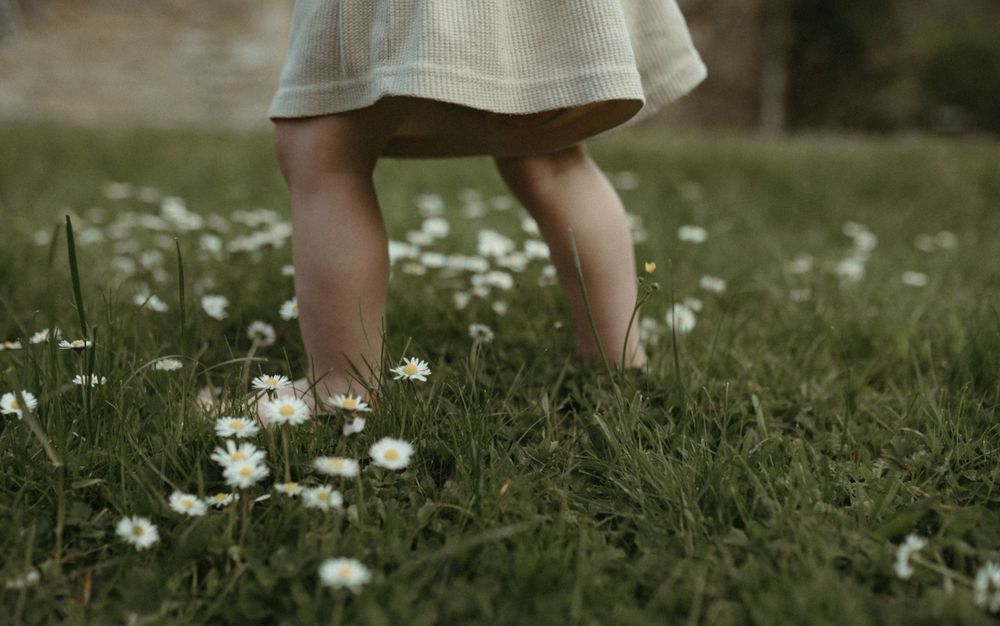 Small legs standing in a meadow of blooming white daisies on green grass.