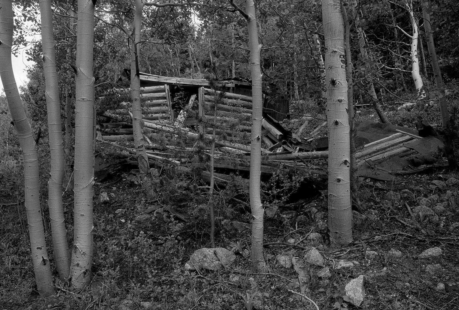 Camp Francis, Colorado